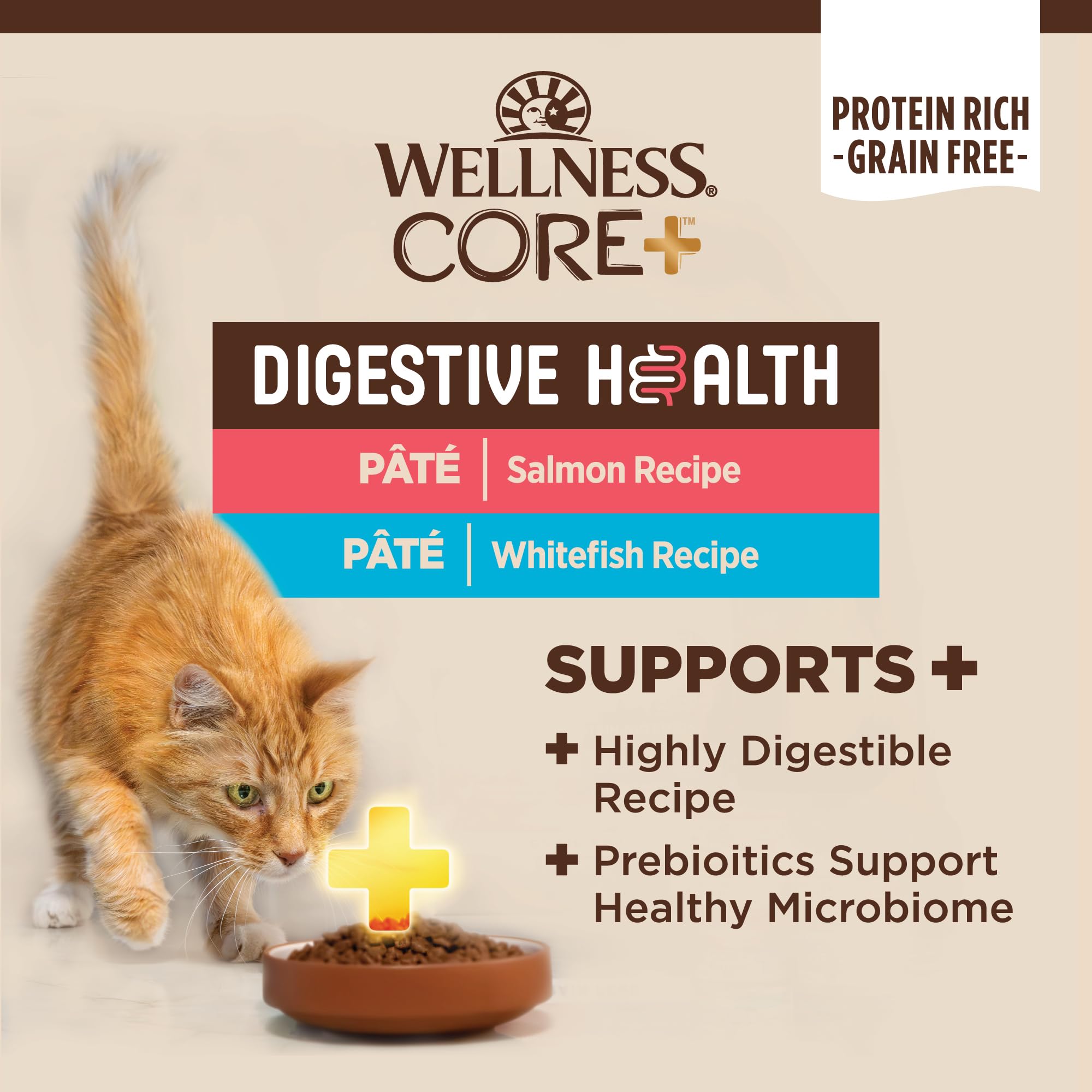 Wellness CORE+ Salmon Pate can highlights real protein first for flavor and digestion.