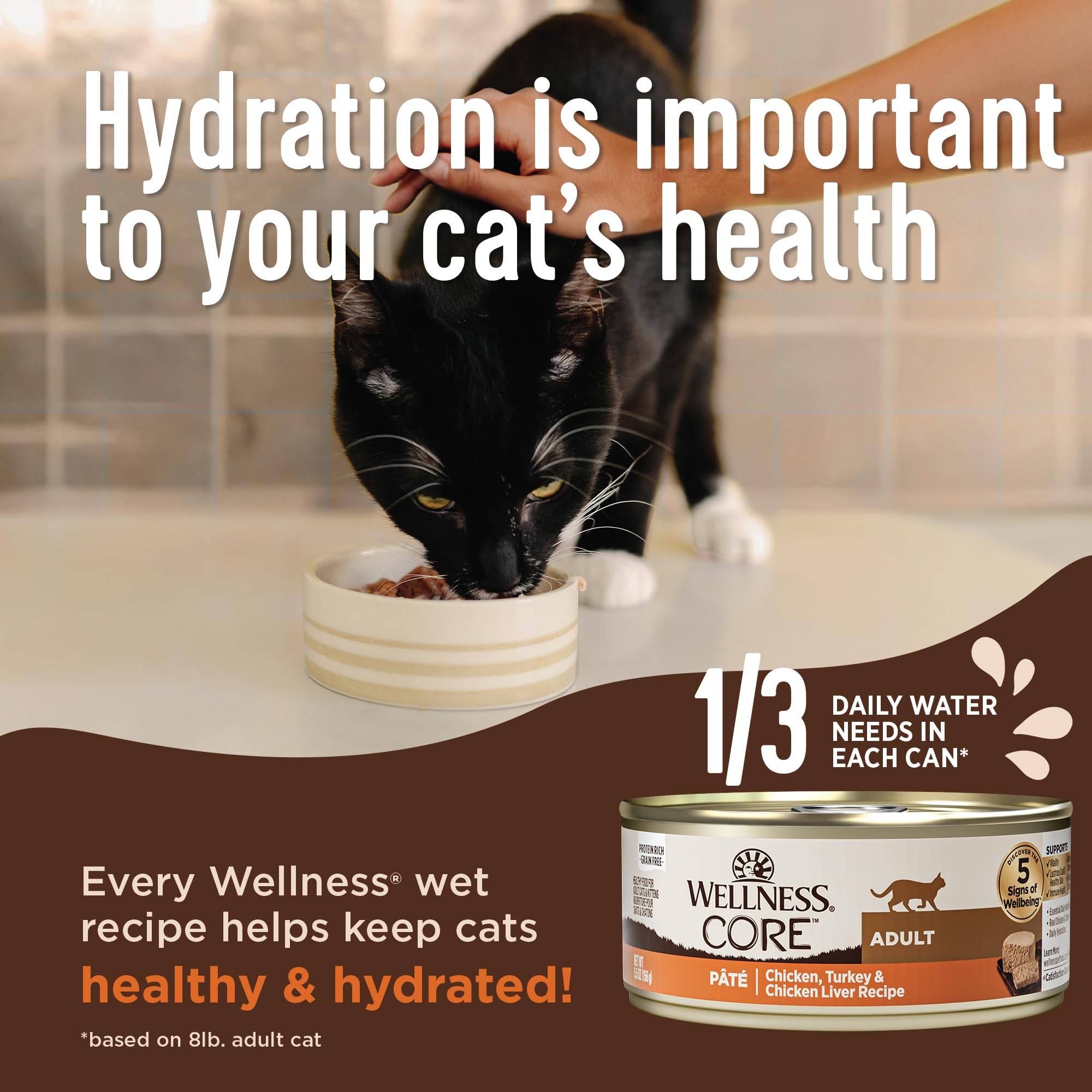 Wellness CORE+ Whitefish Pate can showcases smooth texture cats love.