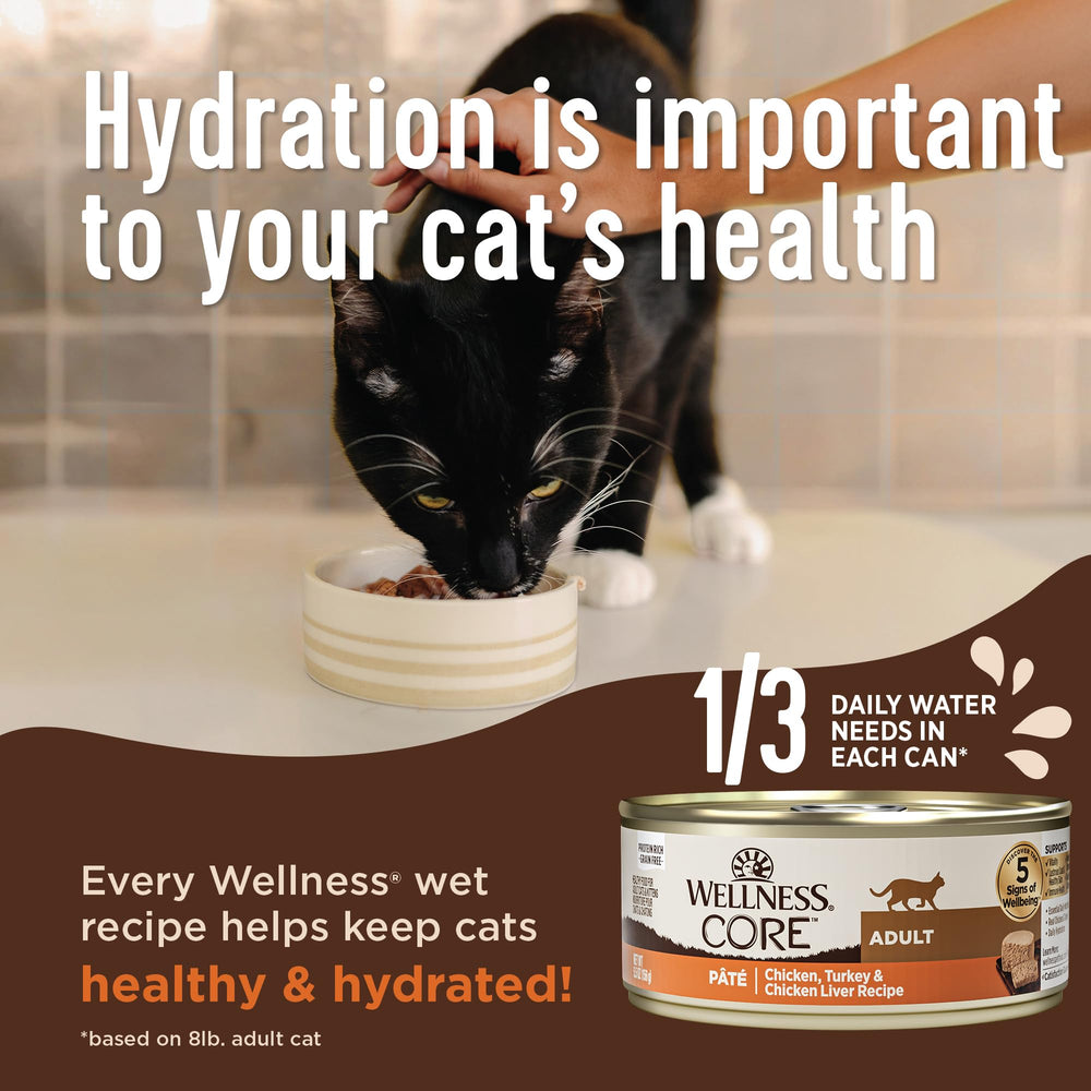 Wellness CORE+ Whitefish Pate can showcases smooth texture cats love.