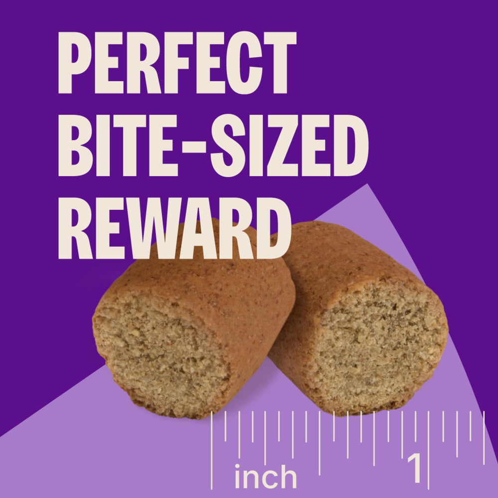 Wellness CORE Healthy Joints beef treats countertop, grain-free formula for many dogs.