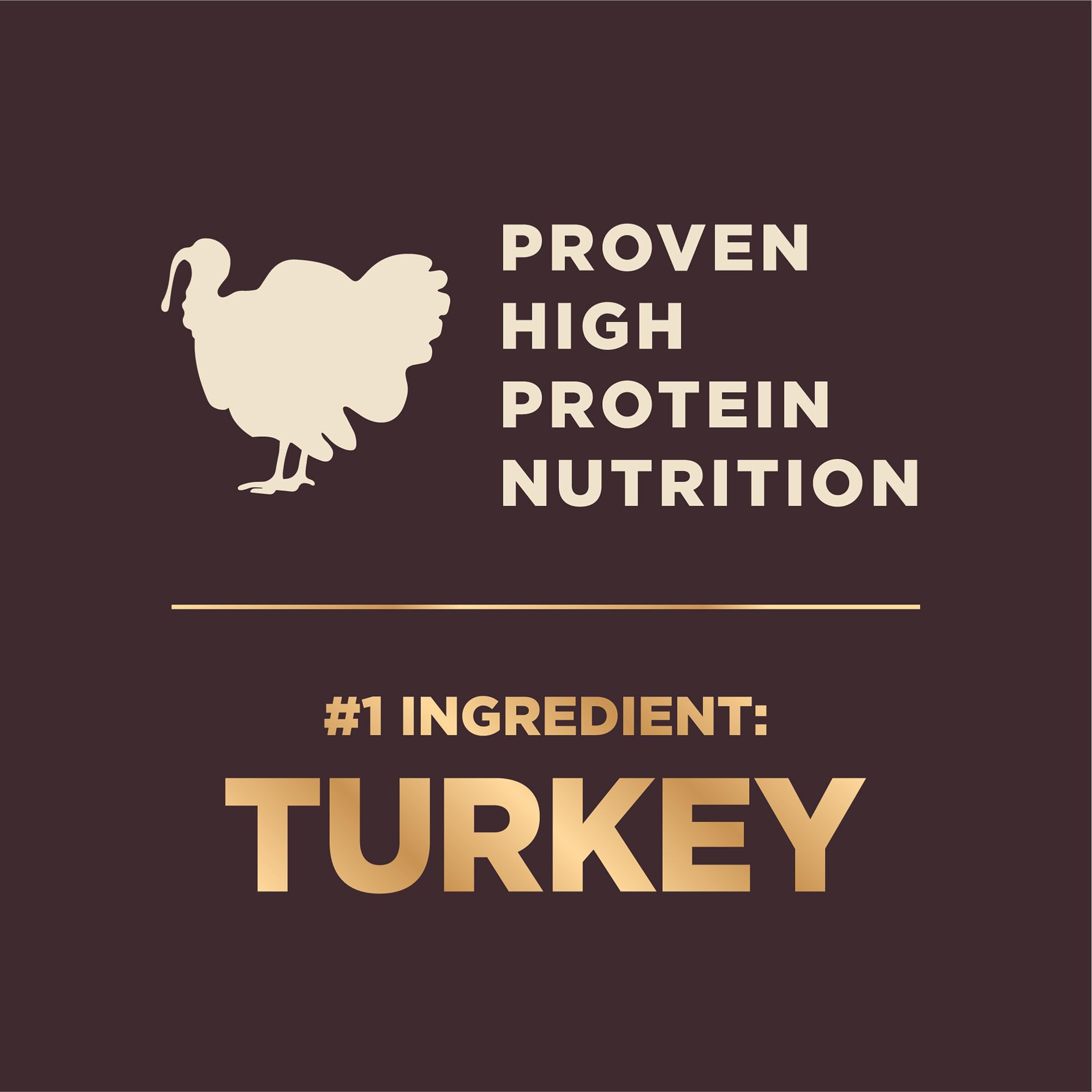 Wellness CORE+ kibble detail showing lean protein supporting healthy muscle tone.