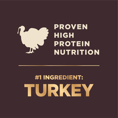 Wellness CORE+ kibble detail showing lean protein supporting healthy muscle tone.