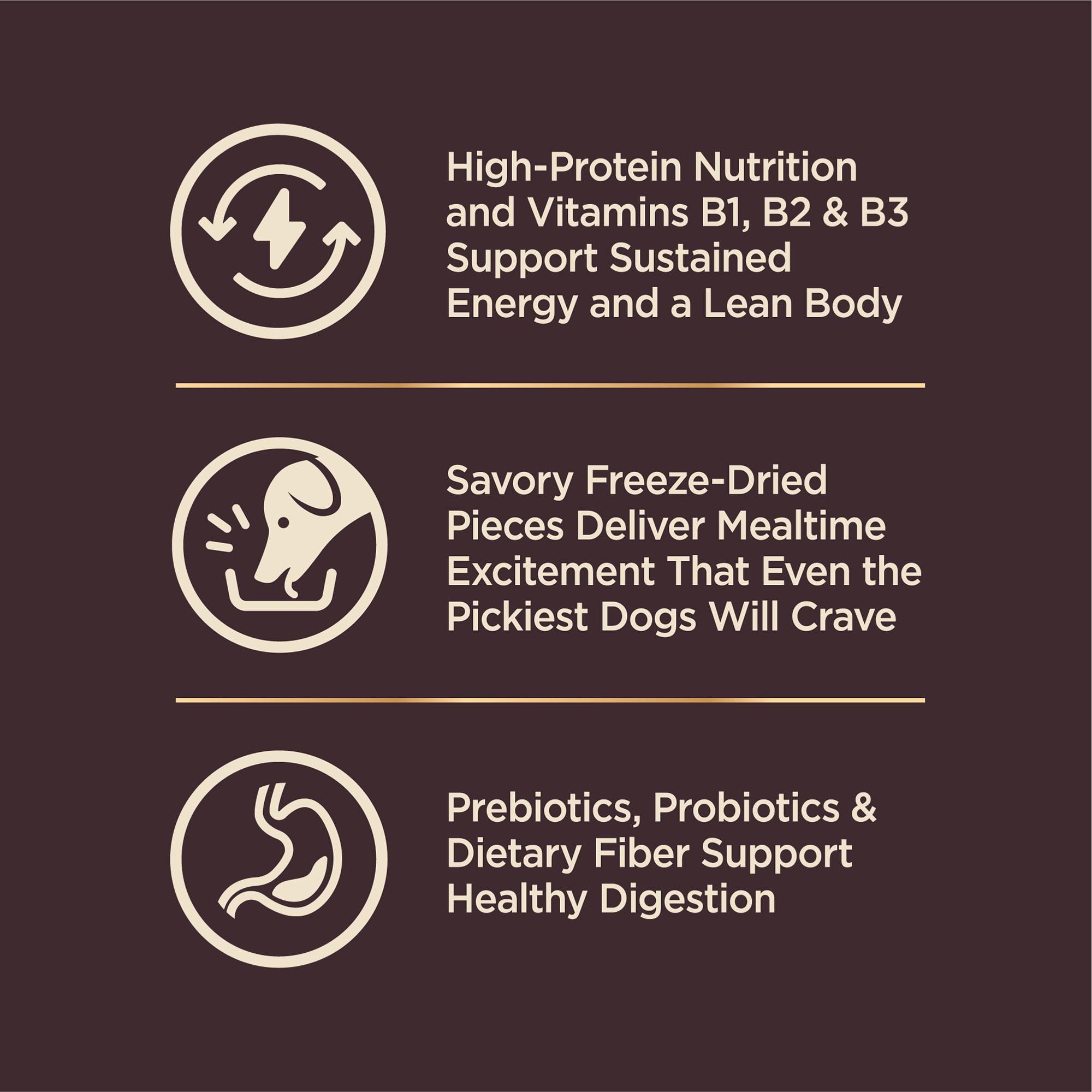 Wellness CORE+ probiotics emphasize digestive health for dogs.
