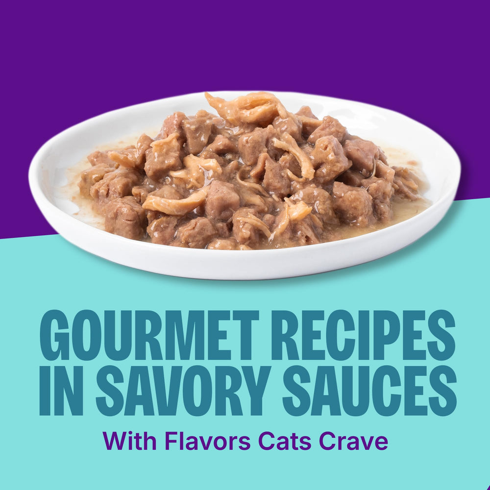 Grain-free seafood recipes from Wellness CORE Signature Selects offer tasty hydration options