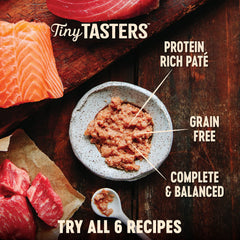 Wellness Core Tiny Tasters chicken pate pouch close-up, high-protein first ingredient for cats.