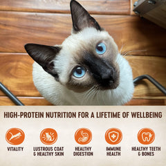 Wellness Core Tiny Tasters chicken and turkey pate pouch close-up, smooth texture cats love.