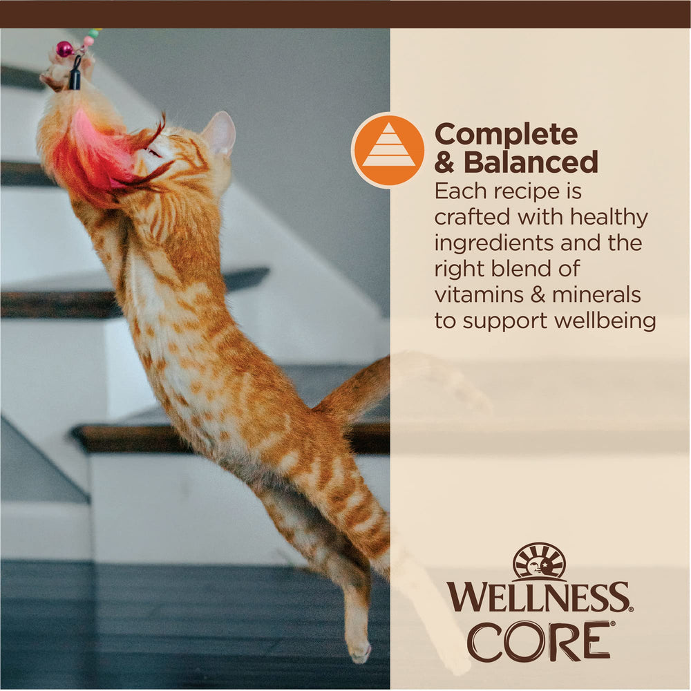 Wellness CORE Tiny Tasters Minced – hydratation quotidienne grâce à une nourriture humide savoureuse.