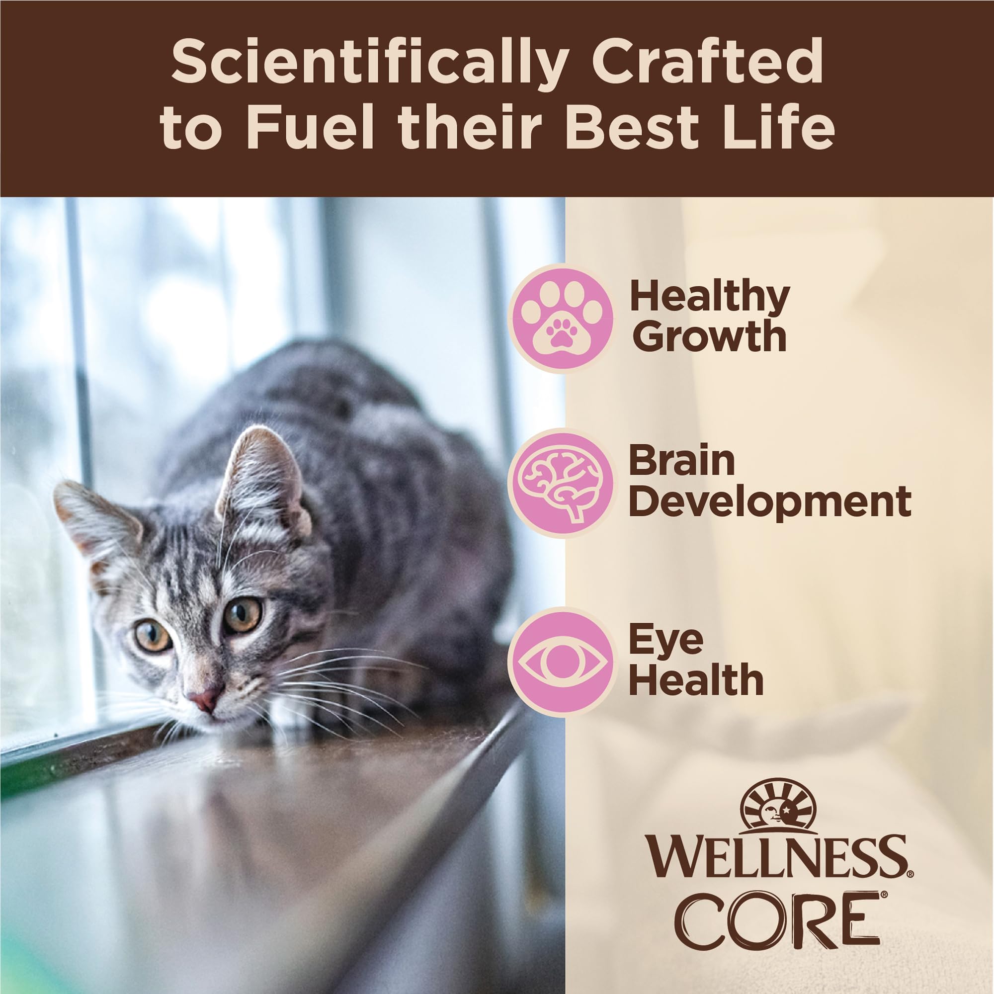 Wellness CORE Tiny Tasters sachet chaton portions pratiques : ouverture facile et portions individuelles pratiques