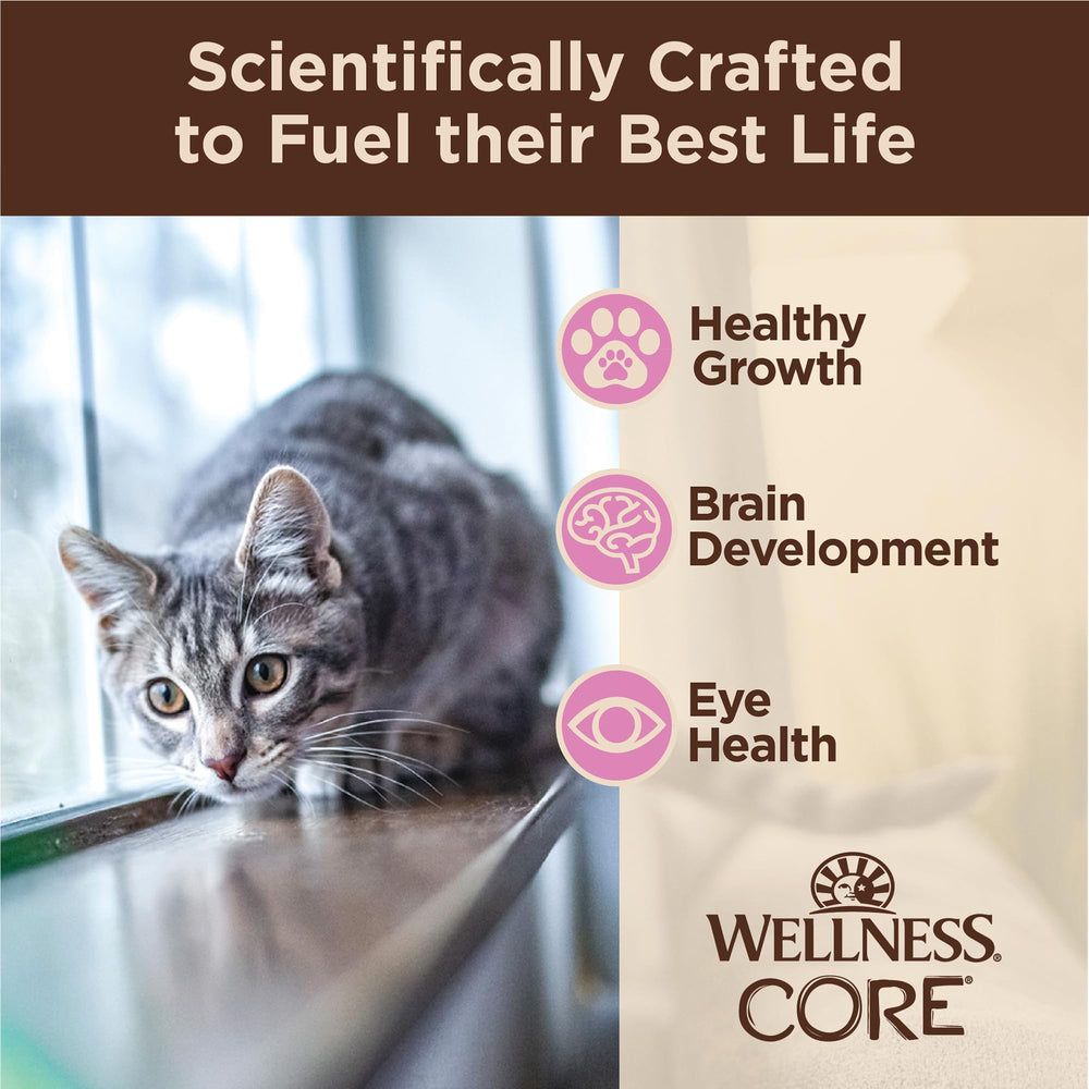 Wellness CORE Tiny Tasters sachet chaton portions pratiques : ouverture facile et portions individuelles pratiques