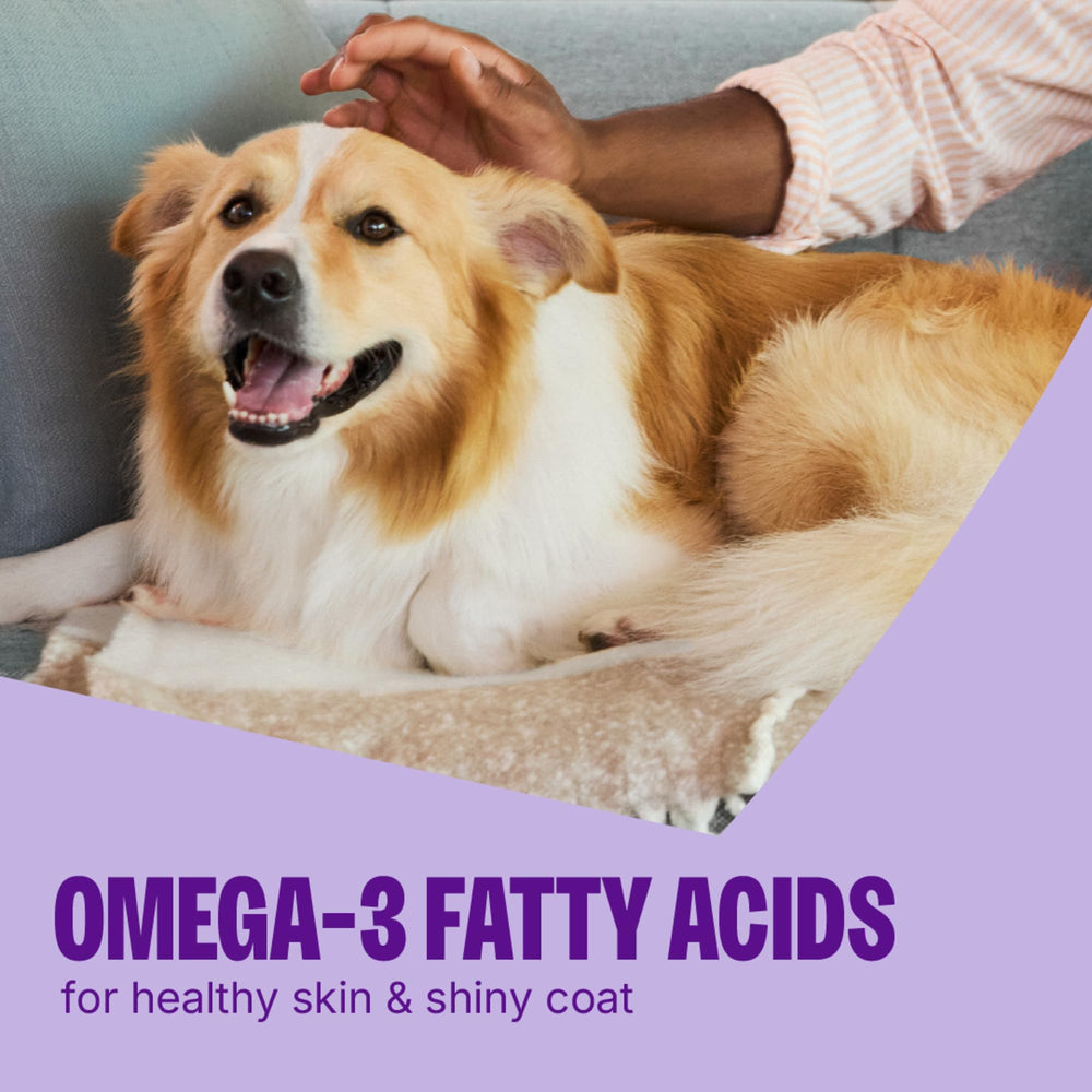 Wellness CORE Tiny Trainers flaxseed ingredients for balanced nutrition.