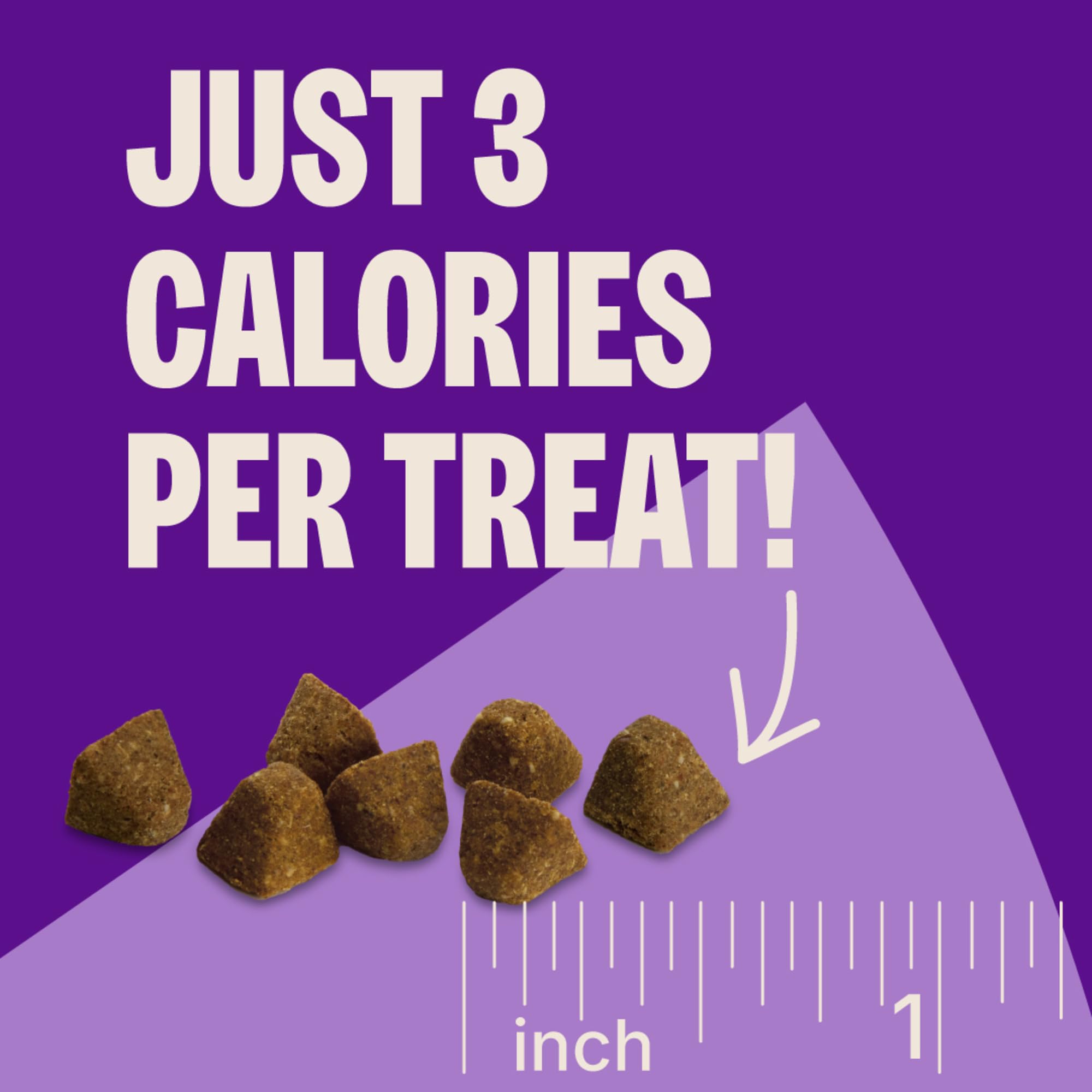 Wellness CORE Tiny Trainers training session with treats as rewards.
