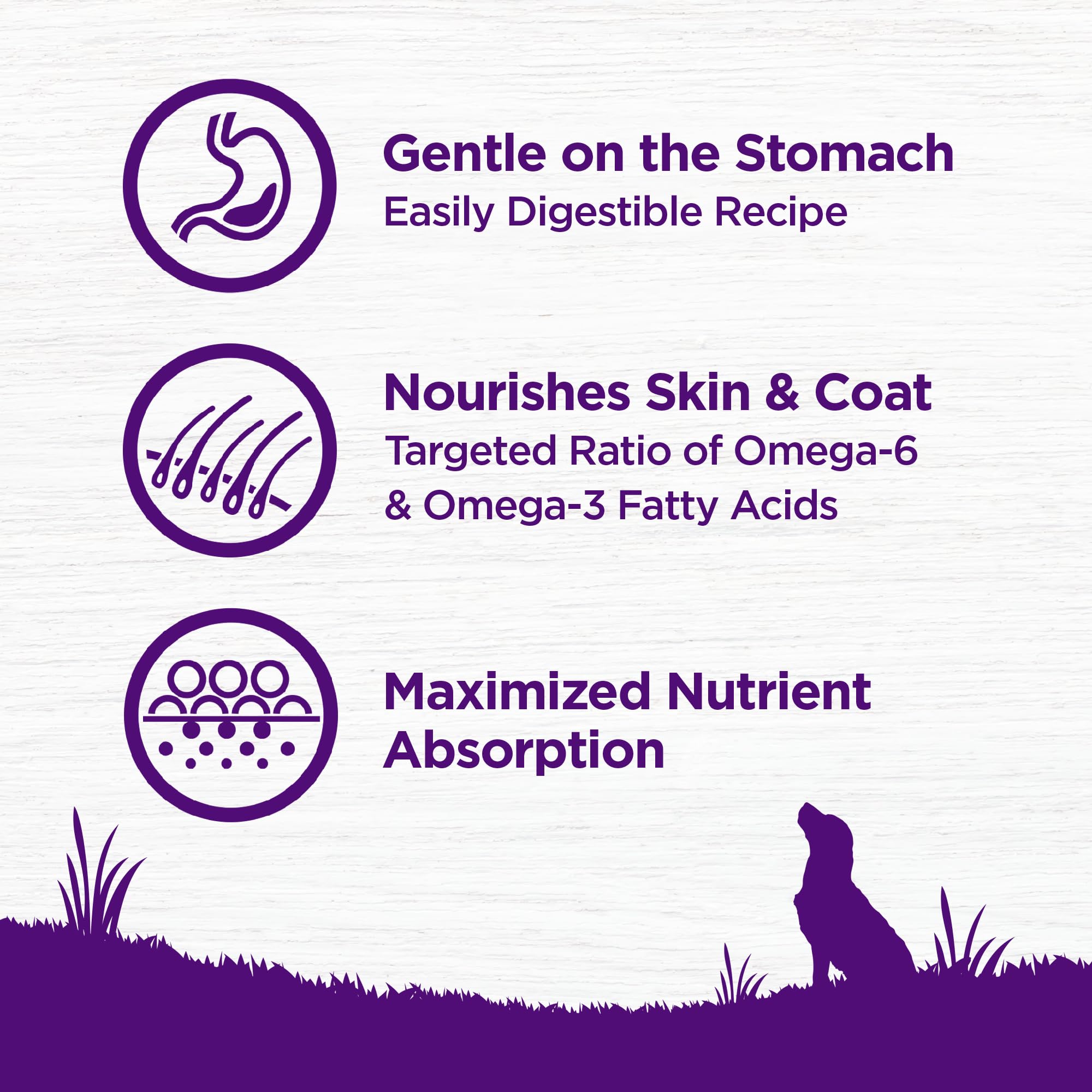 Wellness dog eating complete health demonstrates palatability and digestibility