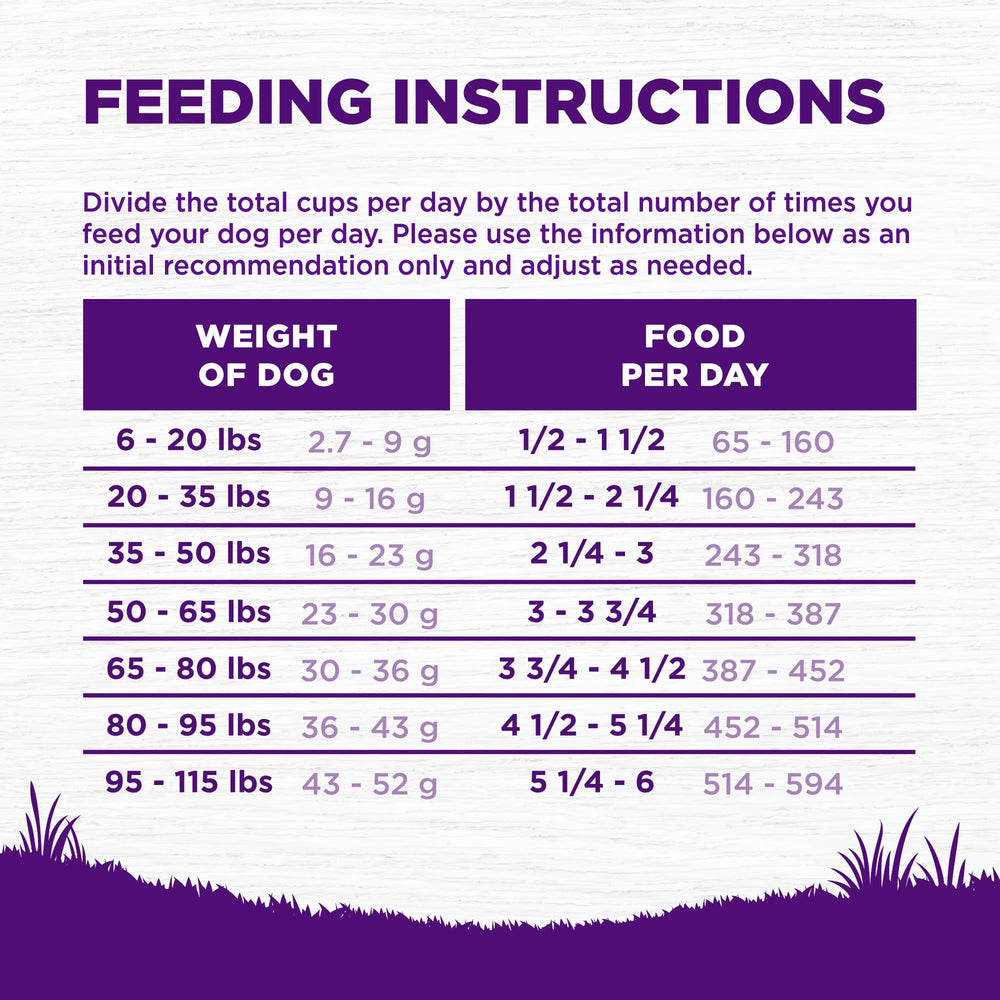 Wellness grain kibble recipe visual highlights wholesome ingredients