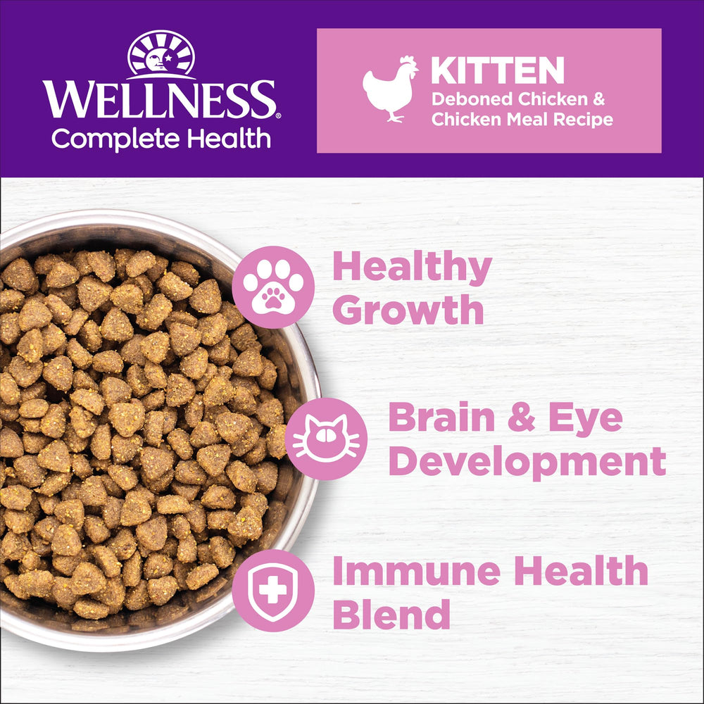 Wellness kitten dry food bowl served highlighting DHA for brain and eye health.