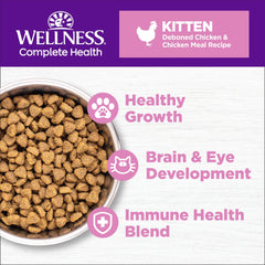 Wellness kitten dry food bowl served highlighting DHA for brain and eye health.
