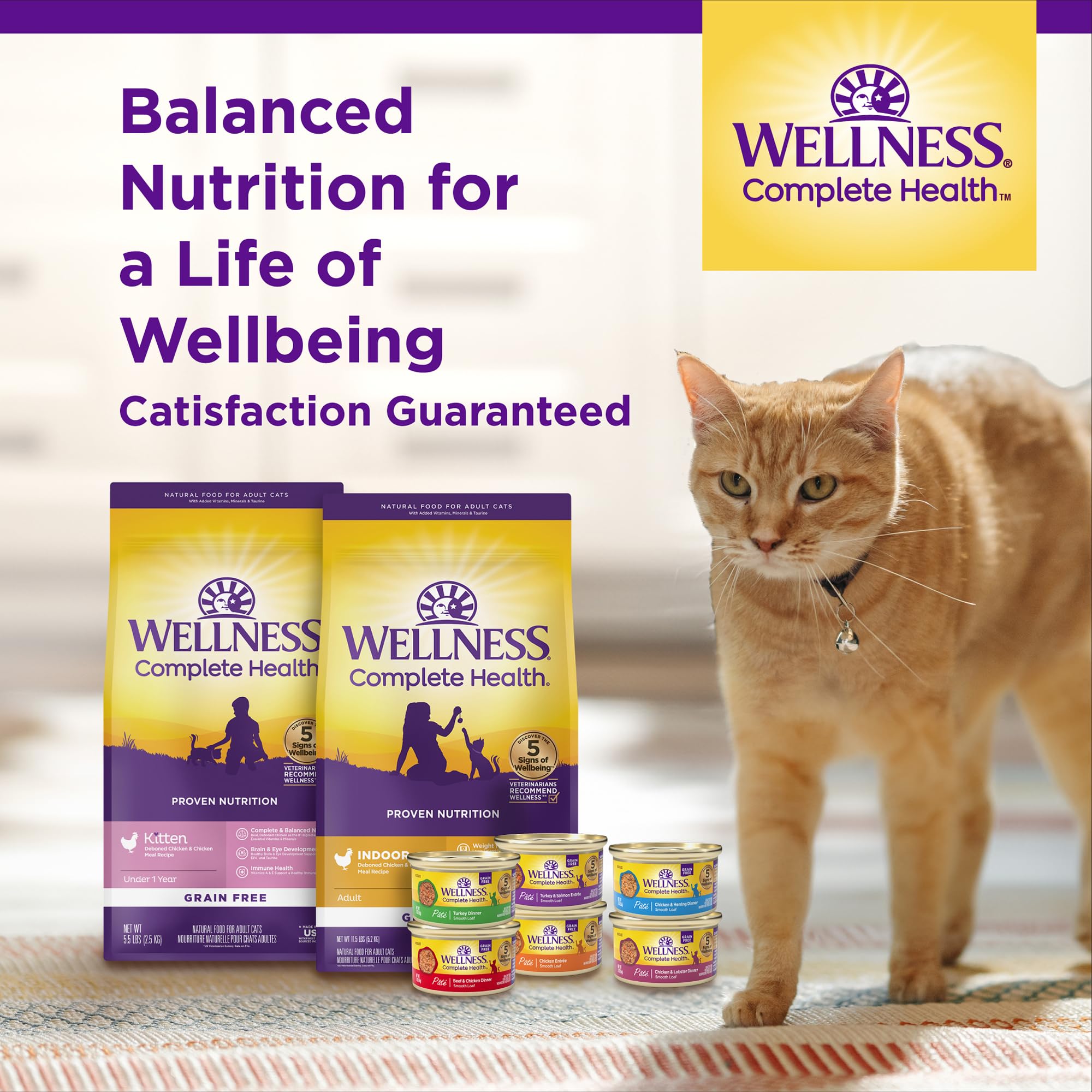 Wellness kitten dry food-health-growth supports active play and steady kitten growth.