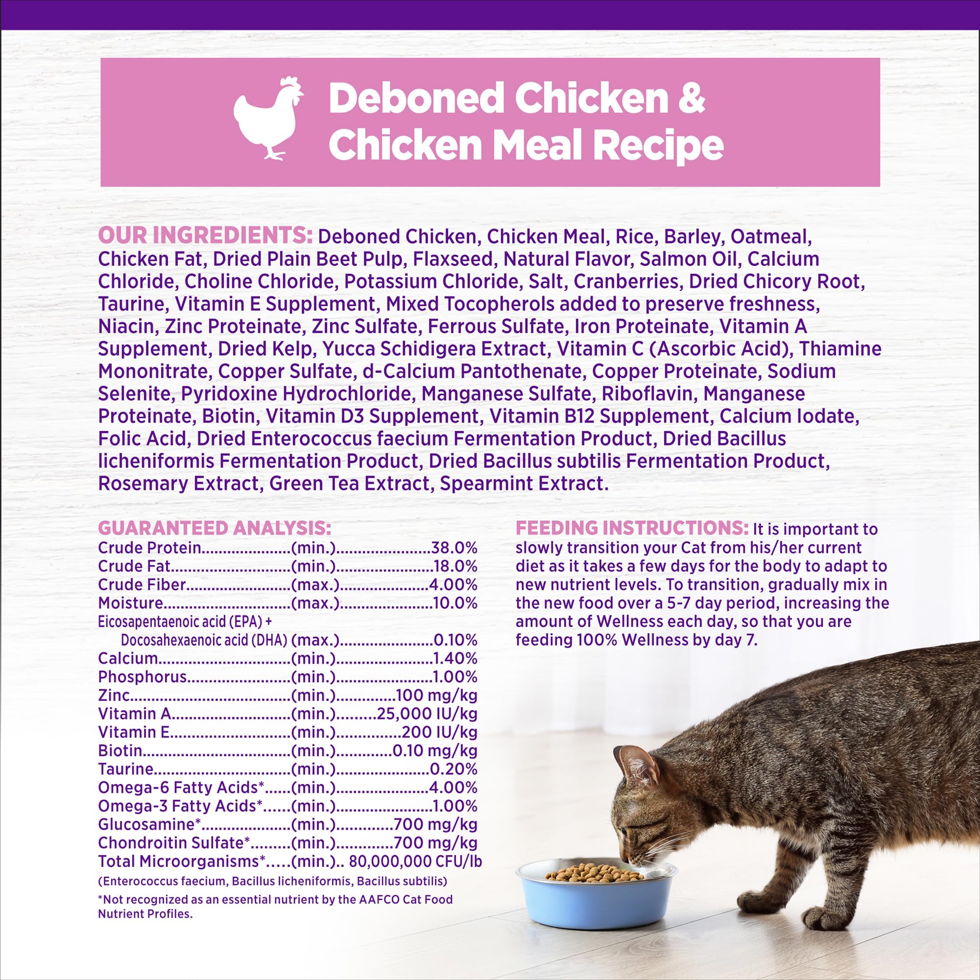 Wellness kitten dry food kibble-morning-meal demonstrates easy serving for busy owners.