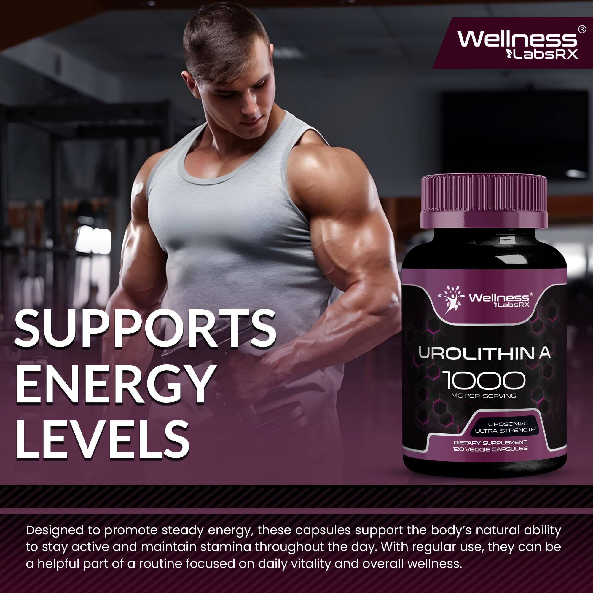 Wellness LabsRx Urolithin A 60-day supply image for sustained daily vitality
