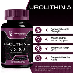 Wellness LabsRx Urolithin A capsules closeup highlighting vegan formula