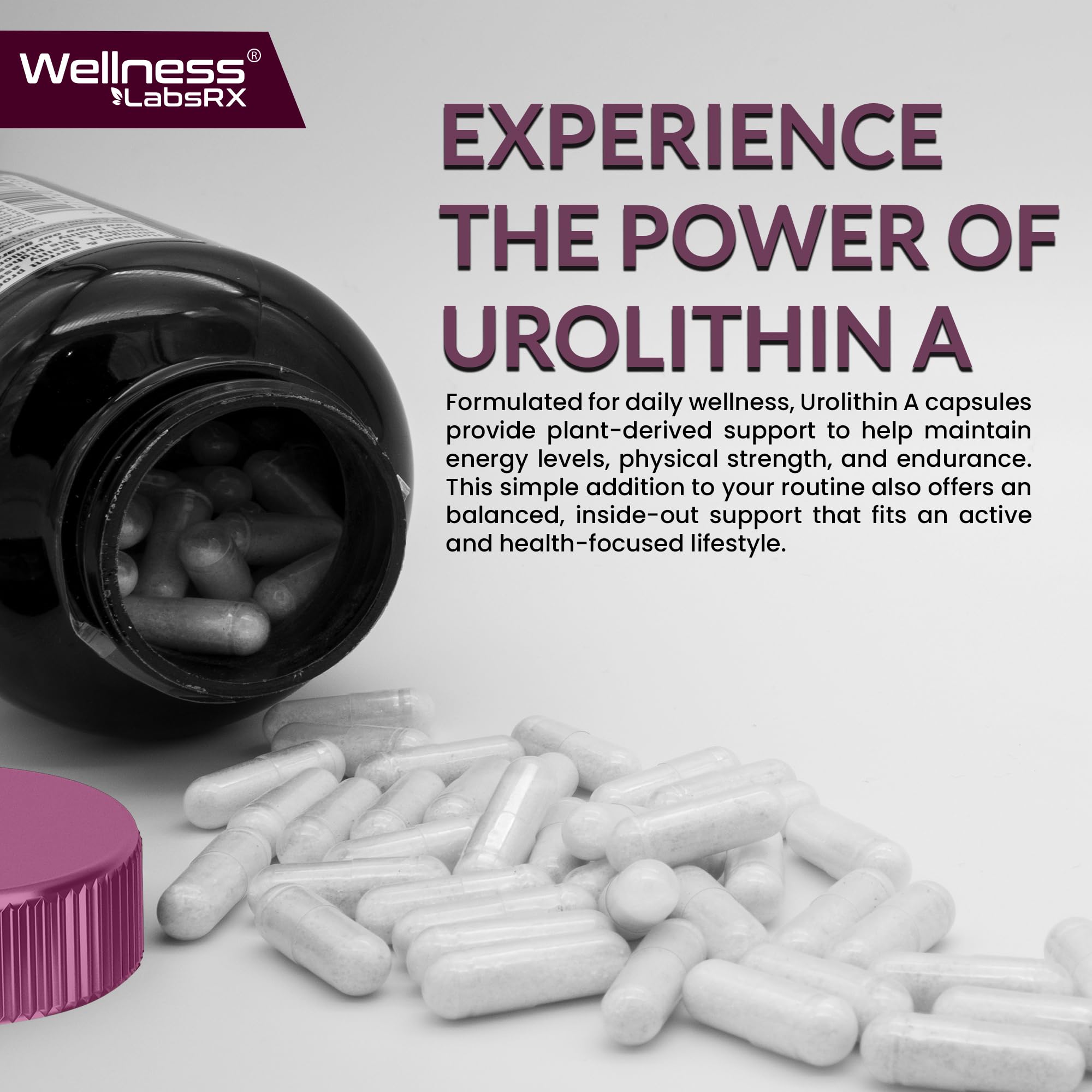 Wellness LabsRx Urolithin A label closeup with 1000mg per serving