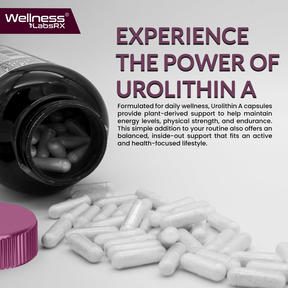 Wellness LabsRx Urolithin A label closeup with 1000mg per serving