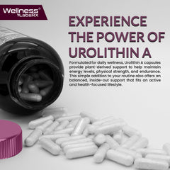 Wellness LabsRx Urolithin A label closeup with 1000mg per serving