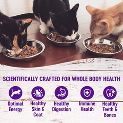 Wellness Healthy Indulgence Morsels easy to serve pouch design for mess-free meals