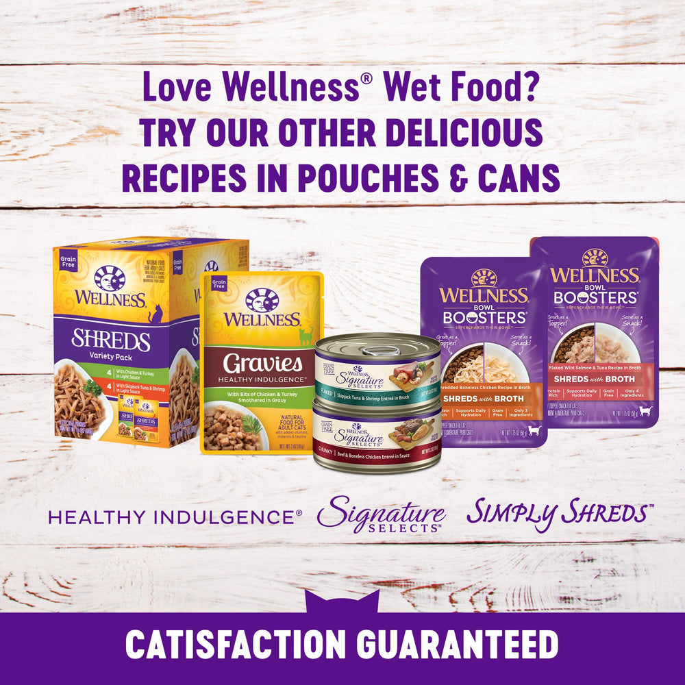Wellness Healthy Indulgence Morsels grain-free wet cat food for balanced nutrition