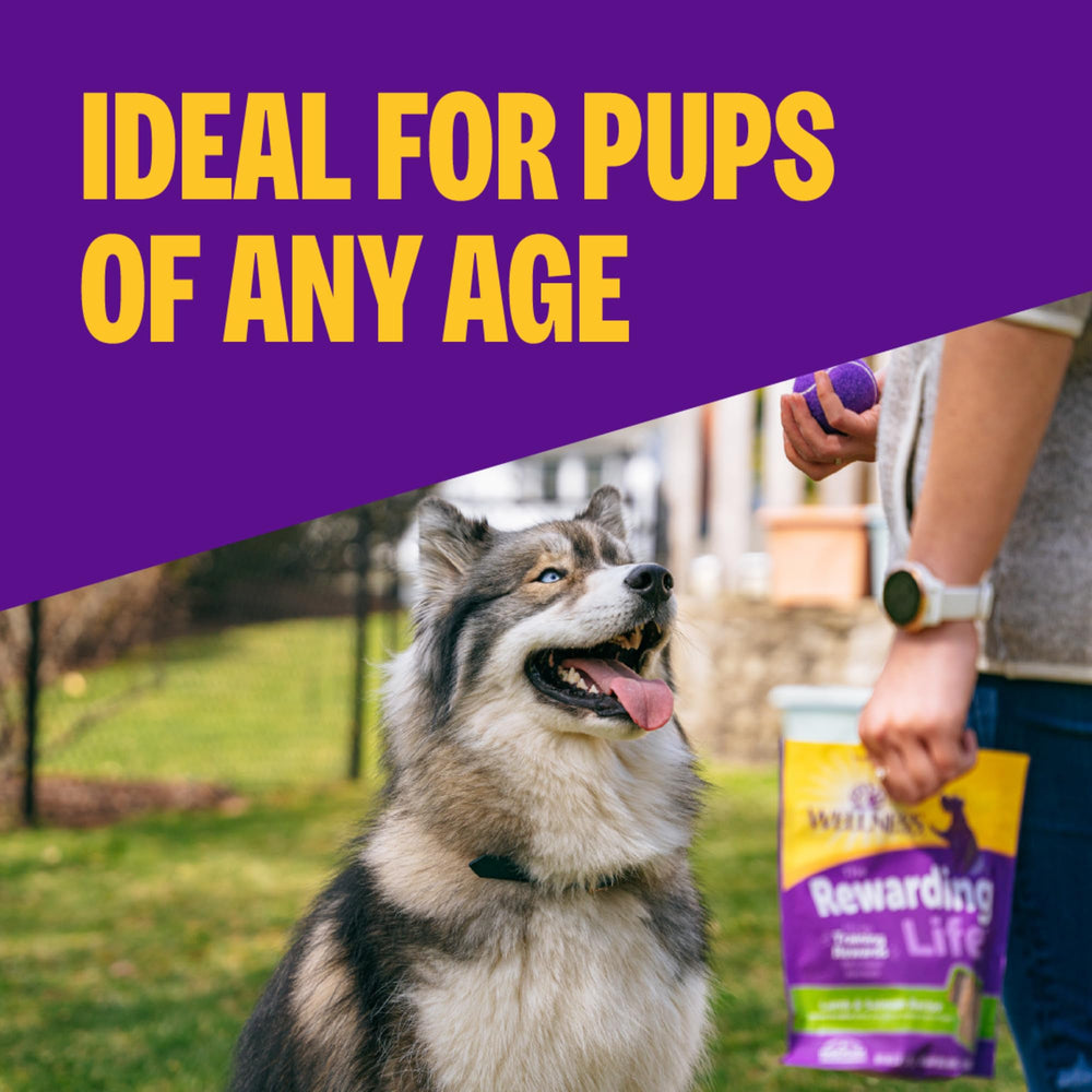 Wellness Rewarding Life soft dog treats bite-sized pieces perfect for quick rewards.