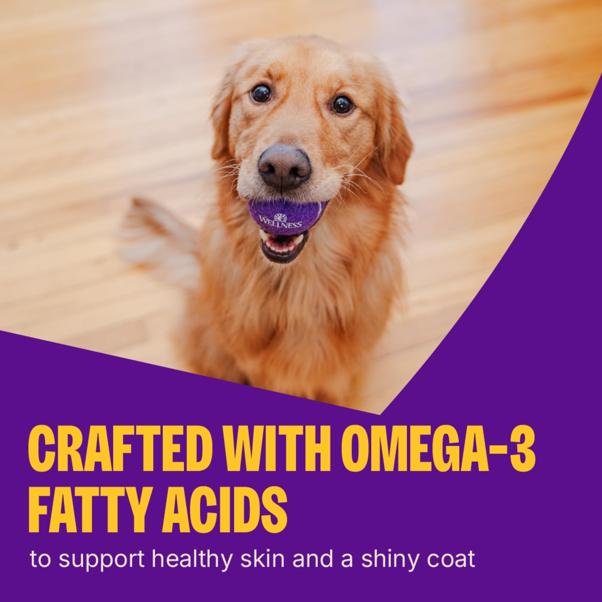 Wellness Rewarding Life soft dog treats grain-free ingredients closeup.