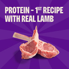 Wellness Rewarding Life soft dog treats lamb and salmon formula for tasty variety.