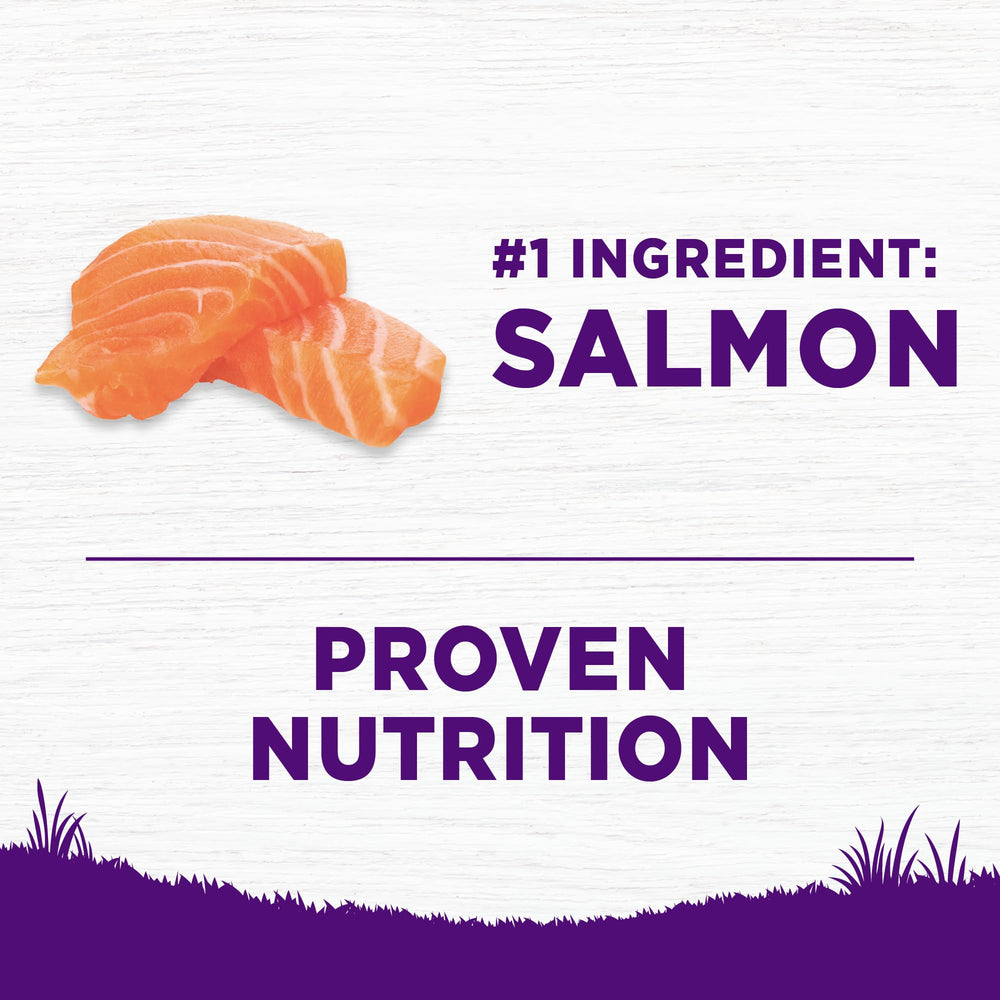 Wellness salmon and rice ingredients illustration emphasizes natural nutrition