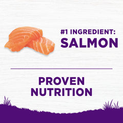 Wellness salmon and rice ingredients illustration emphasizes natural nutrition