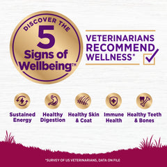 Wellness small-breed kibble closeup highlighting grain-free formula for sensitive stomachs