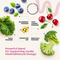 Two-pack presentation signaling value and convenience for daily use of Wellneum gummies.