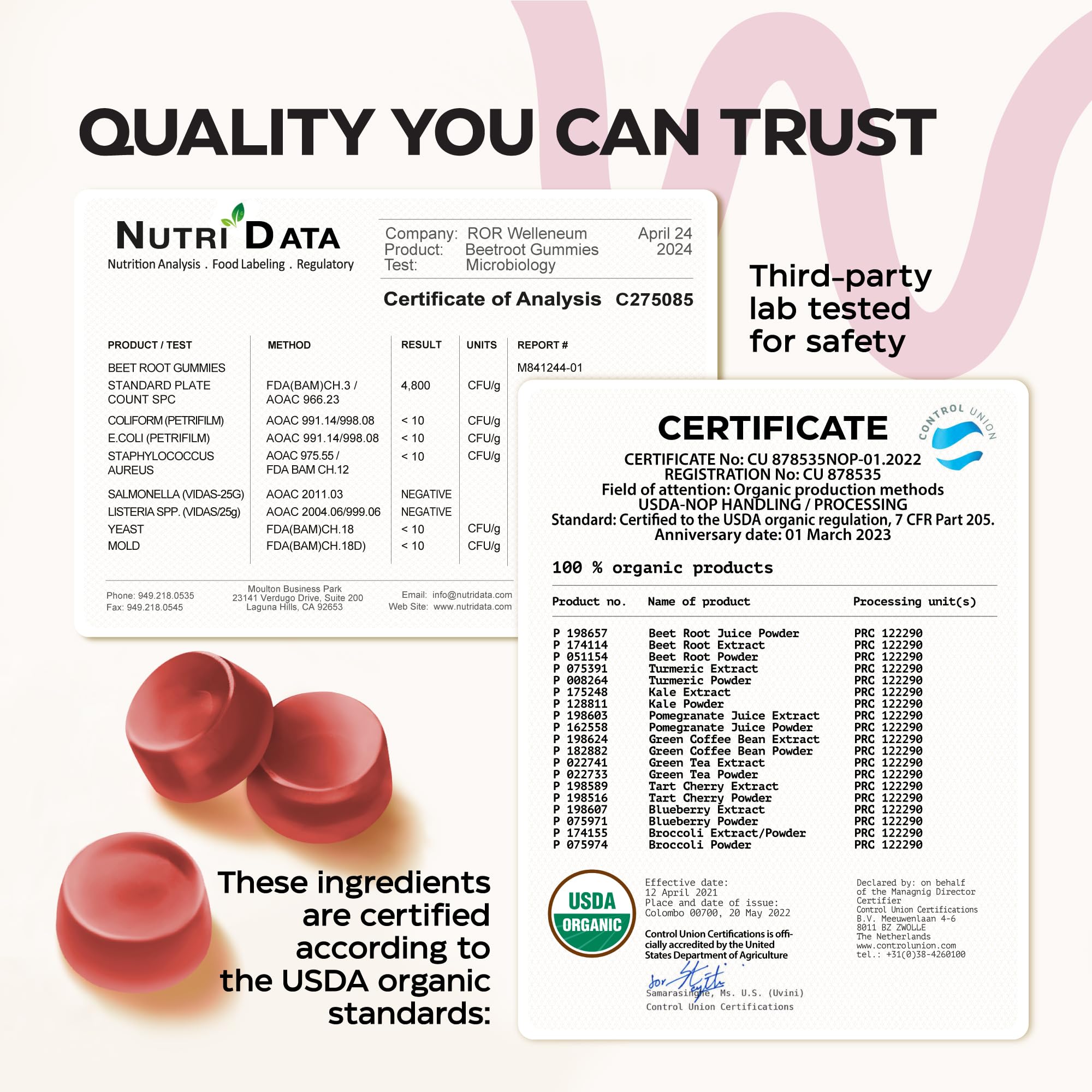 Heart health graphic illustrating potential daily-use benefits from Wellneum Beets gummies.
