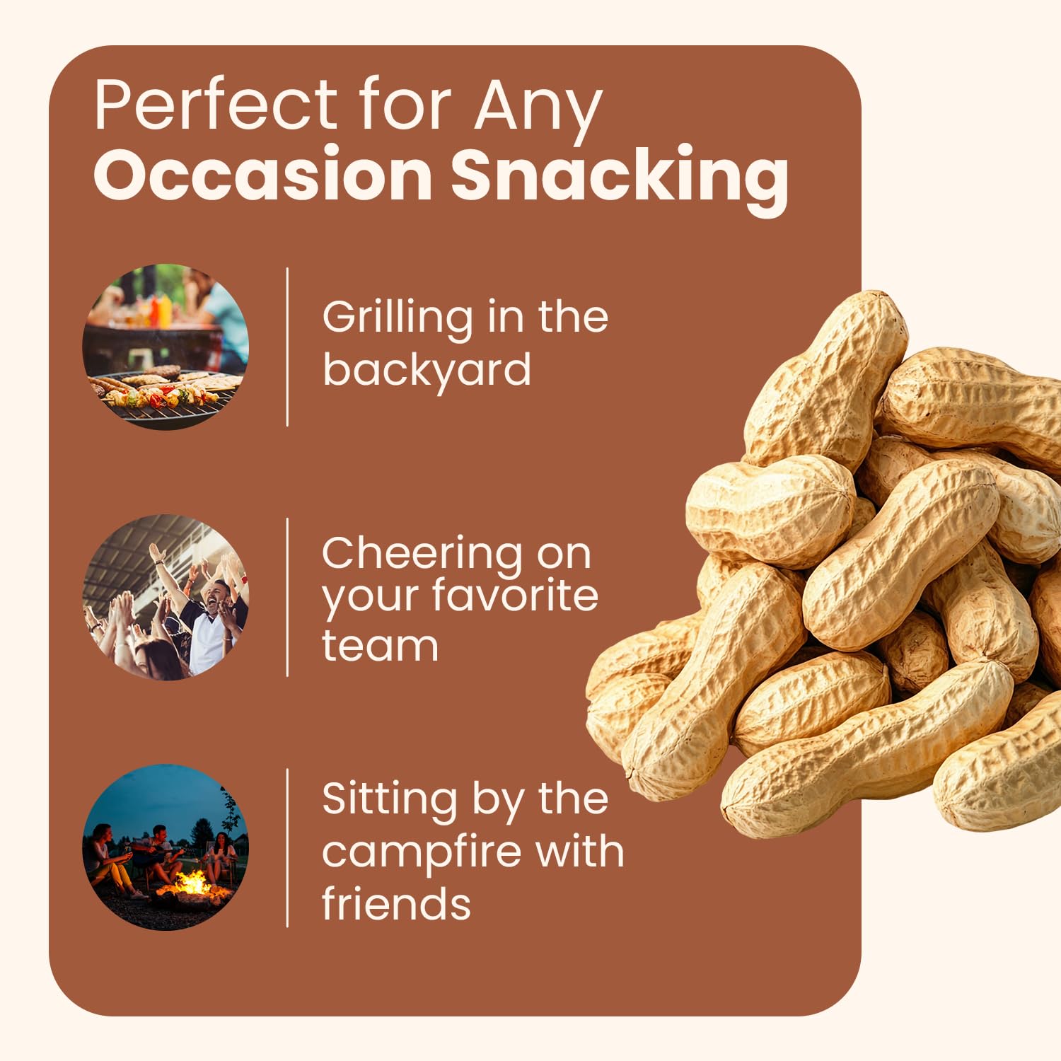 Wellsley Farms salted roasted peanuts in shell offer simple ingredients and clean label.