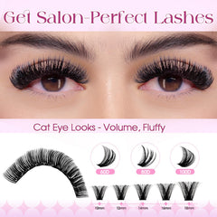 Wendy Lashes 60D clusters for natural volume and daily wear