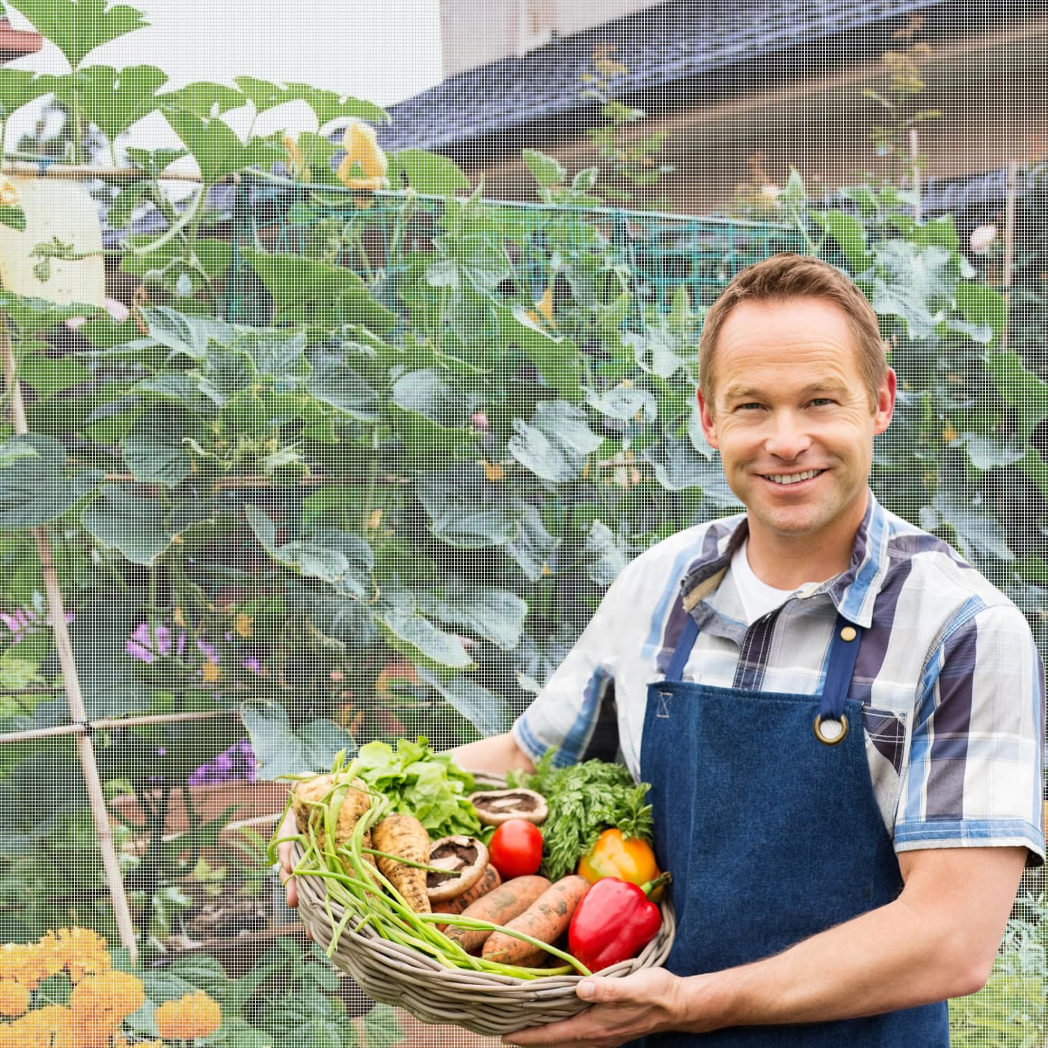 WenTao breathable garden mesh shields crops during hot days with good air flow.