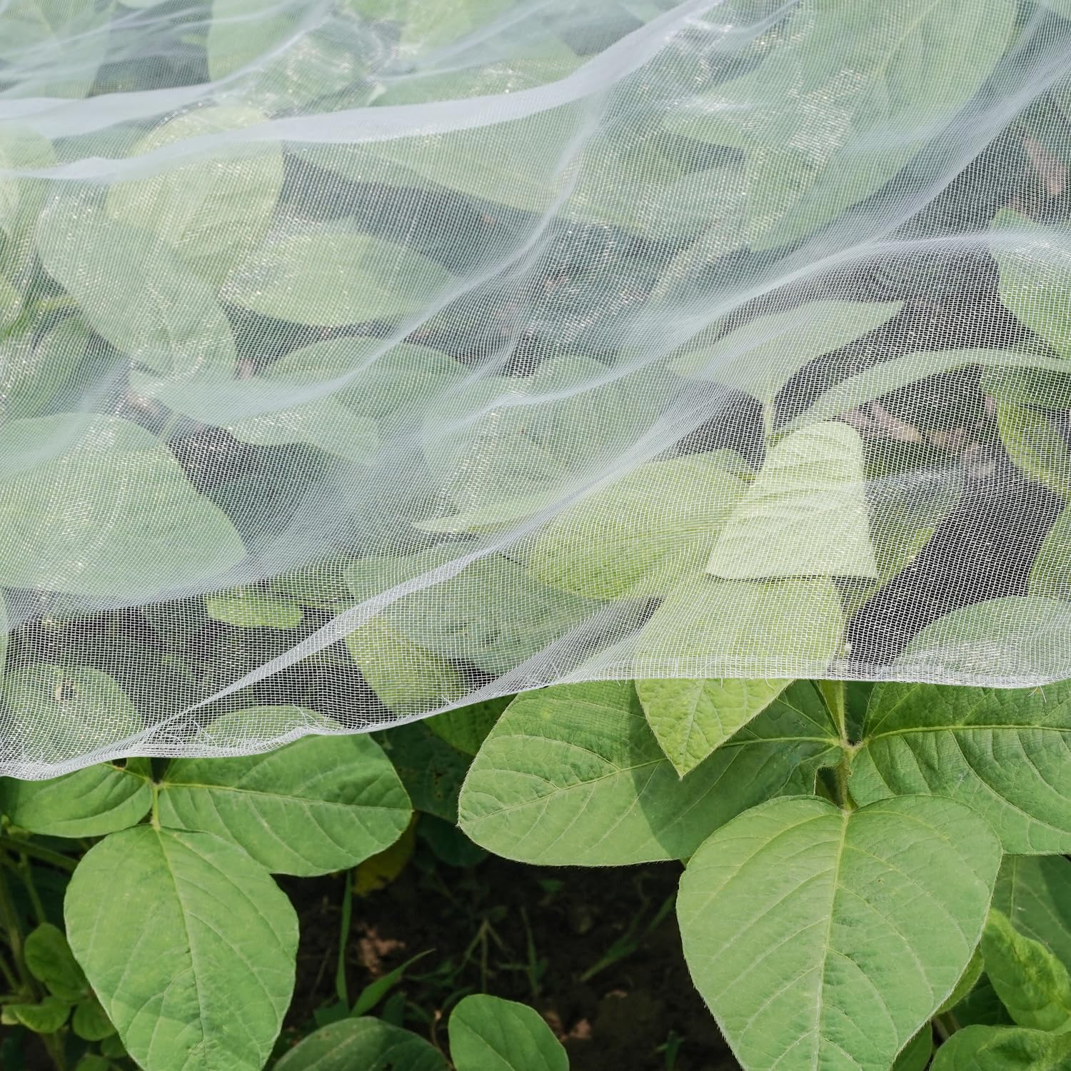 WenTao Ultra Fine Garden Netting 4x10 shielding crops while staying breathable.
