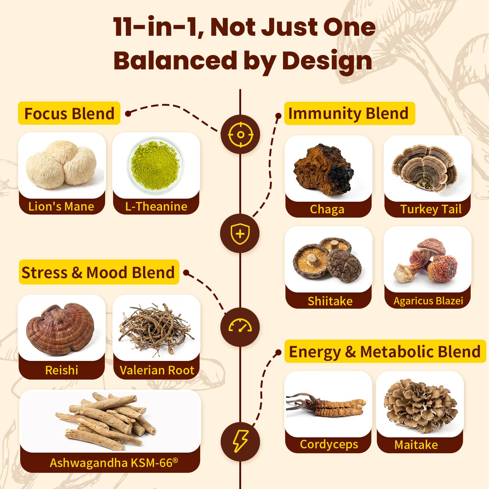 WepBio Mushroom Coffee Mocha packet for a rich chocolate flavor and steady focus