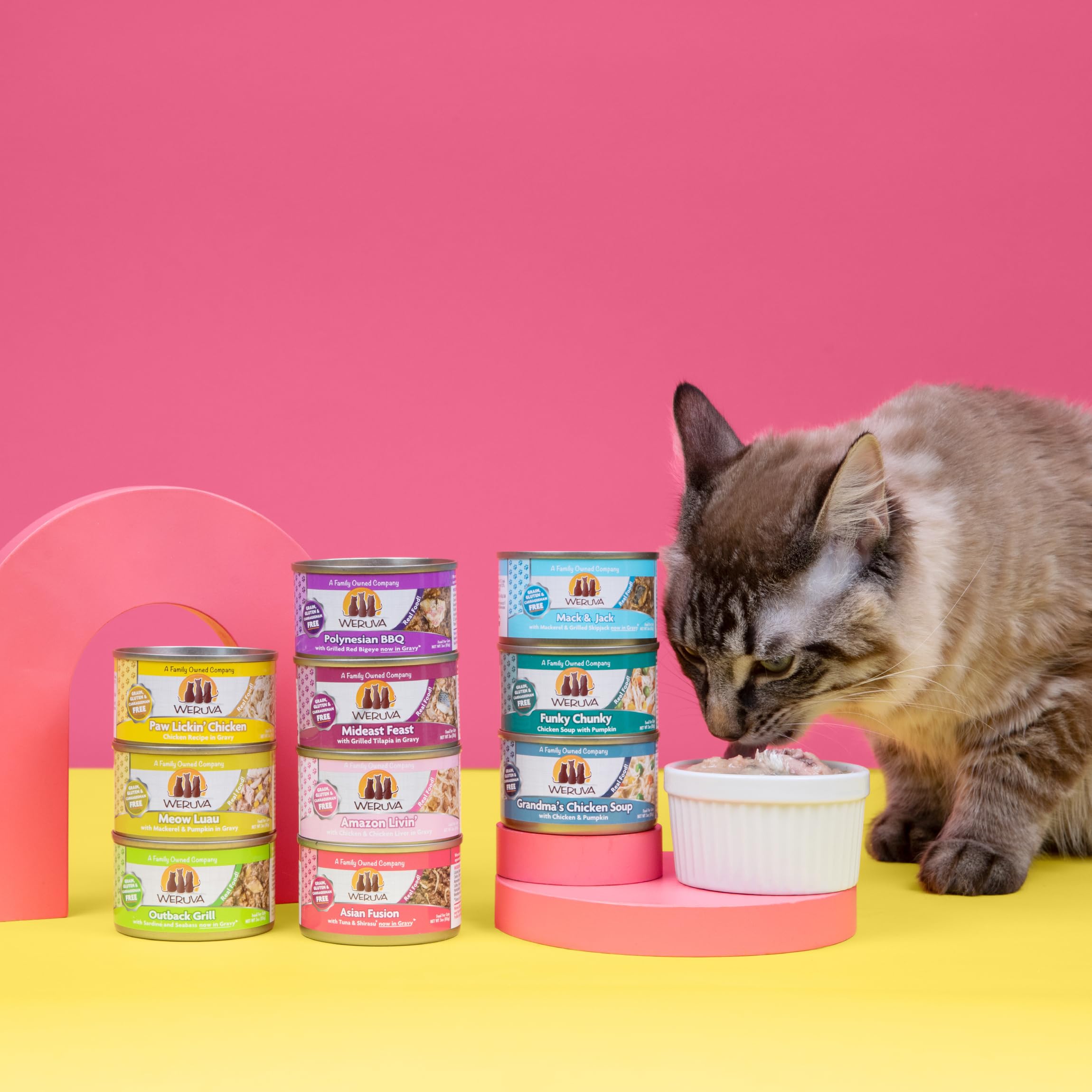 Weruva Classic Cat sustainably sourced tilapia depiction highlights responsible ingredients.