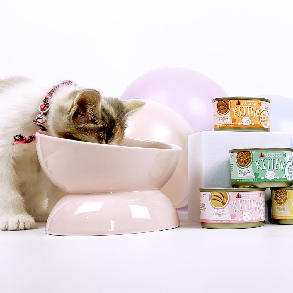 Convenient 3-ounce can pack ideal for measured kitten servings.