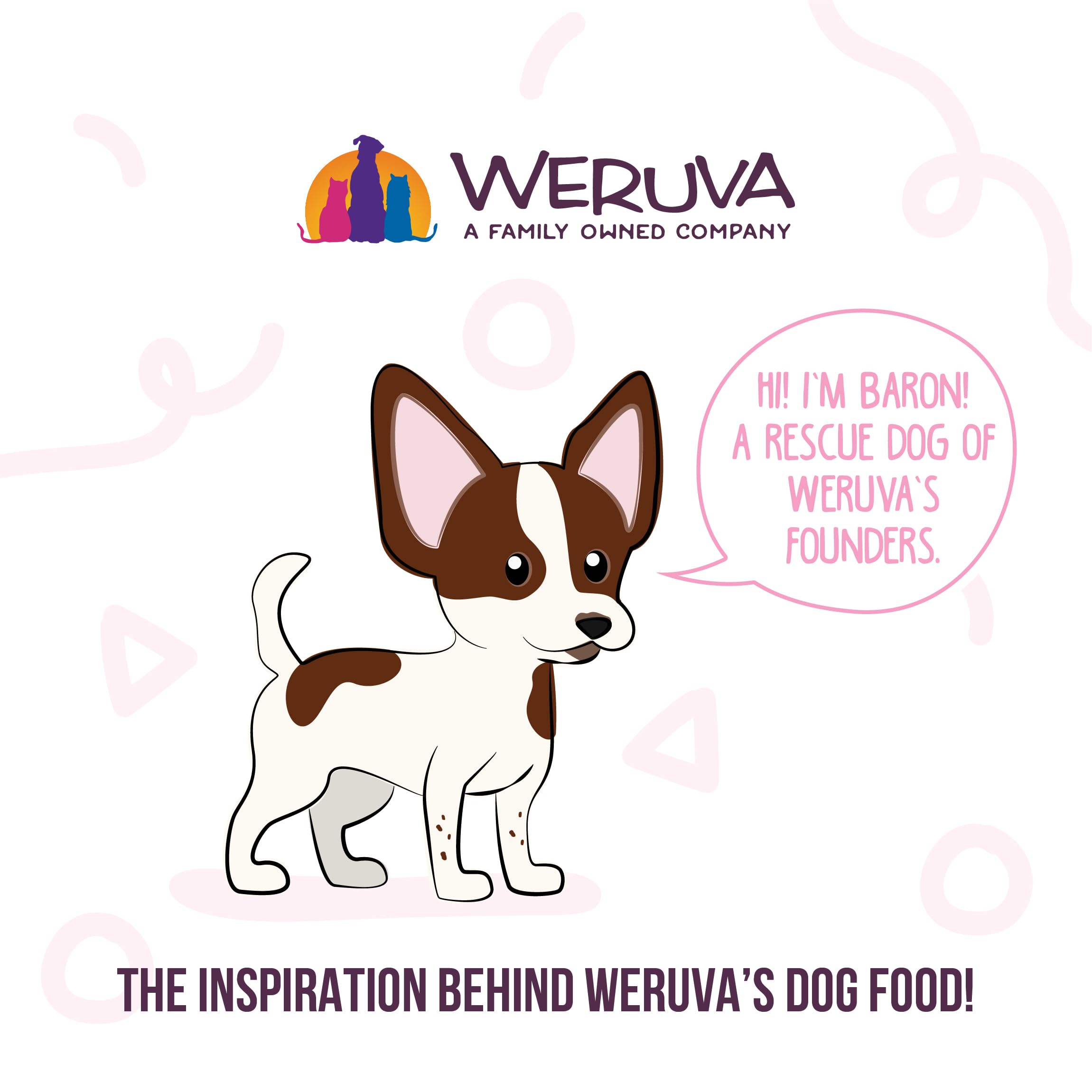 Amazon Livin Recipe Plus Weruva cup close-up with savory texture