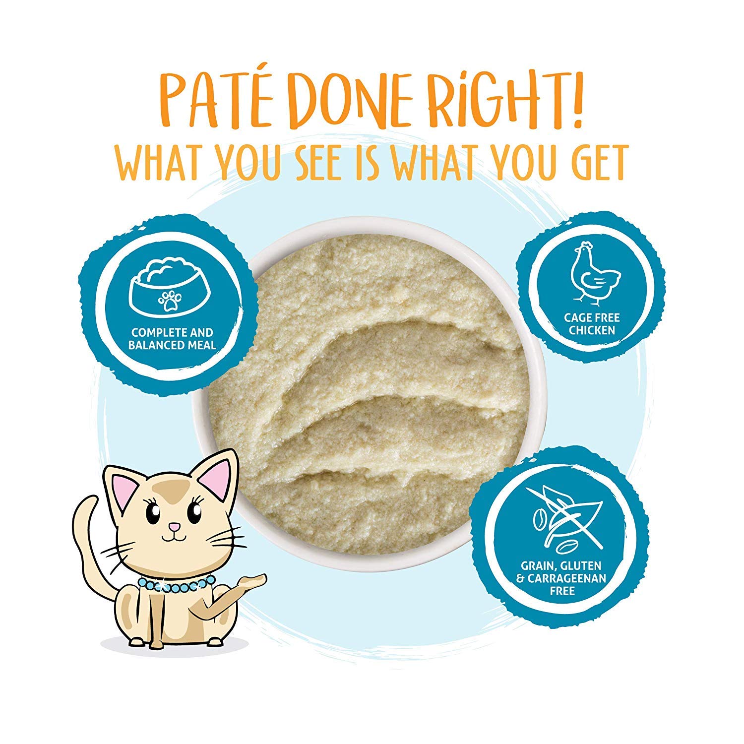 Serving Weruva Press Your Lunch chicken pate in a bowl for easy feeding