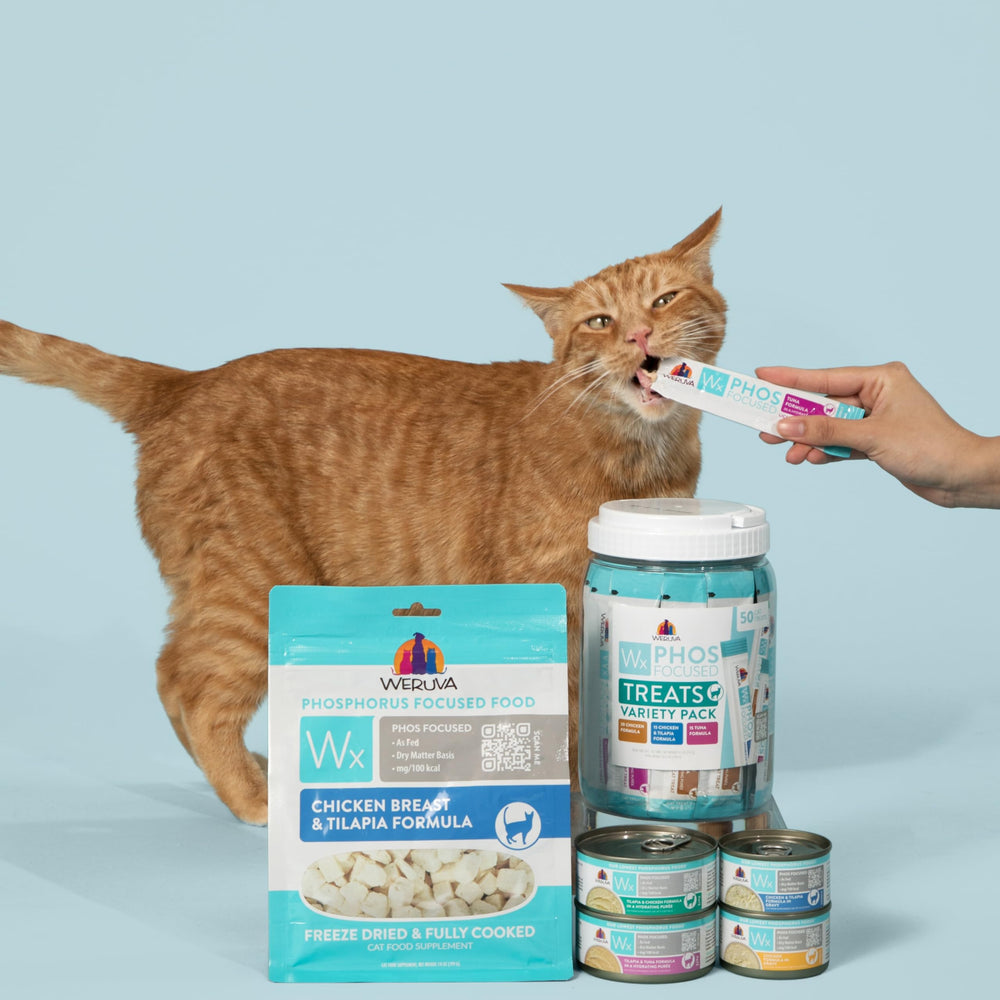 Weruva Wx Phos Focused family-brand: a pet-parent backed choice.