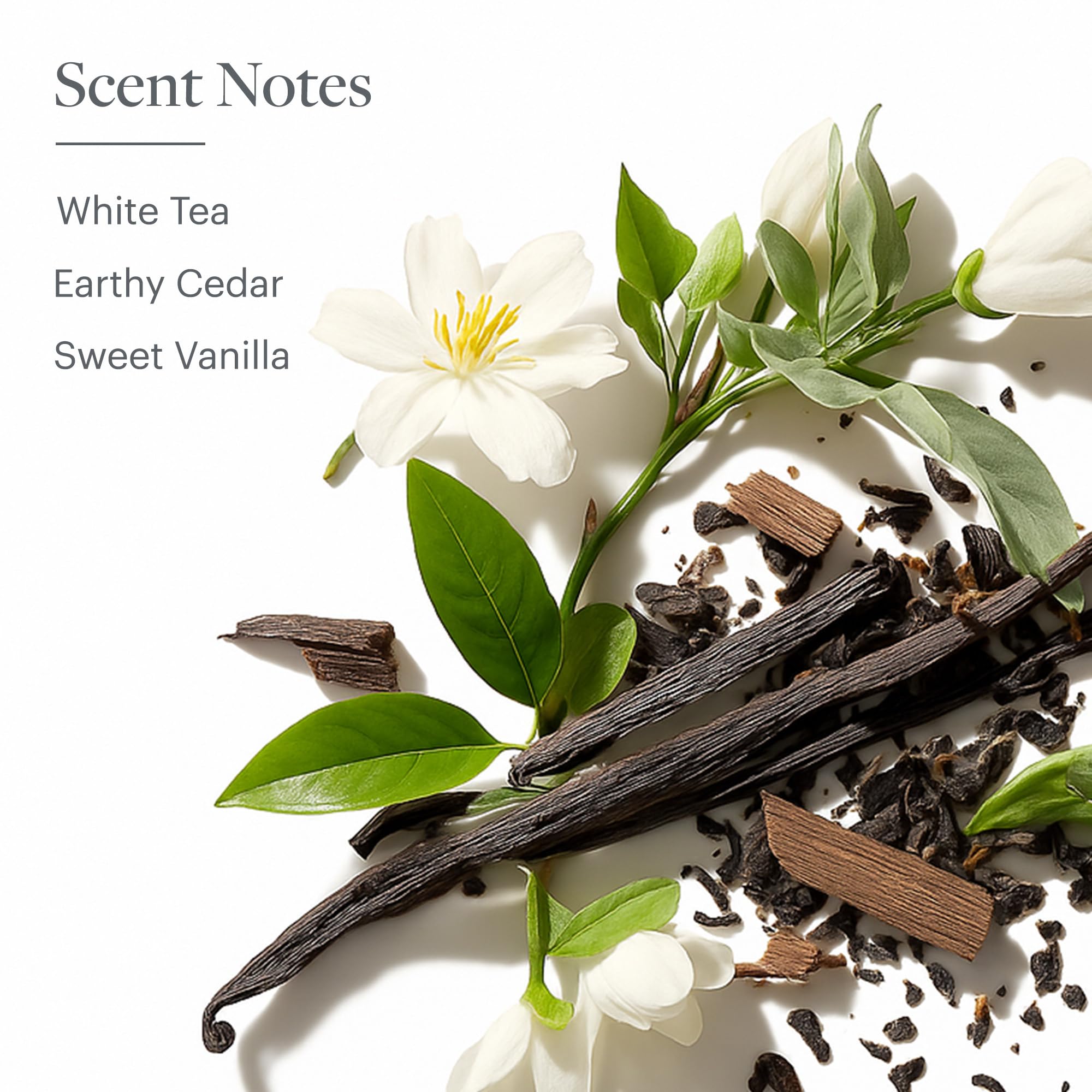 Westin White Tea Aloe ingredients blend including white tea and aloe.