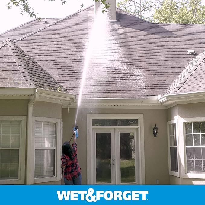 Wet & Forget on roof moss and mildew for gradual cleaning over weeks.