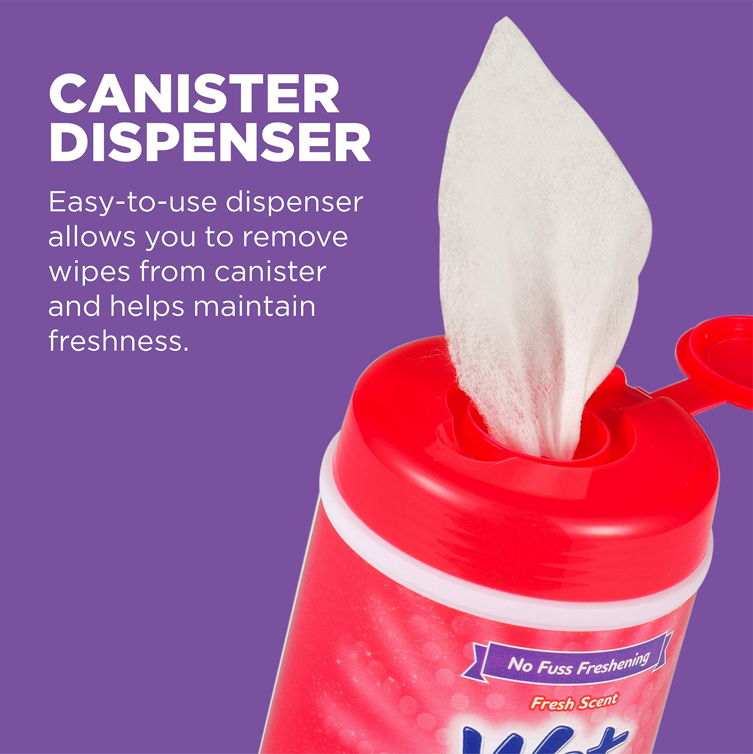 Wet Ones cat wipes bottle and canister on a counter.