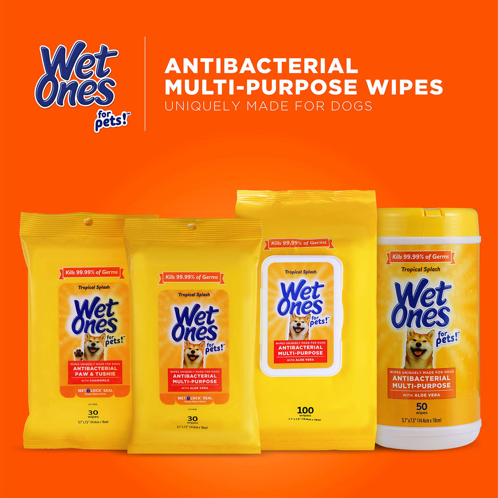 Wet Ones Pets wipes for messy playtime, drool, and everyday messes.